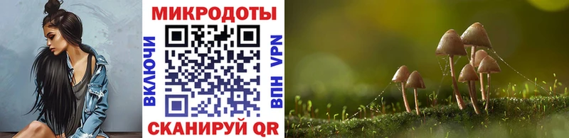ссылка на мегу зеркало  Пойковский  Галлюциногенные грибы Psilocybe 
